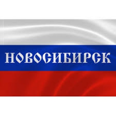 Автосканеры в Новосибирске Автосканеры в Новосибирске